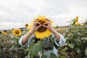 Un raccourci vers le bonheur.