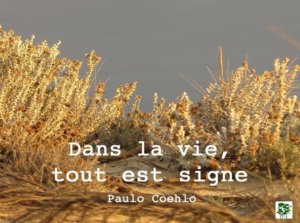 Les heures miroirs (+ vidéo)