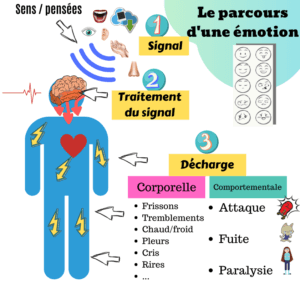Gestion des émotions