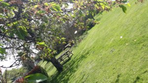 Regarde la nature pour te voir