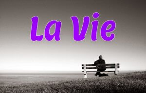 L&rsquo;école de la vie