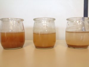 Pourquoi notre esprit est trouble ?
