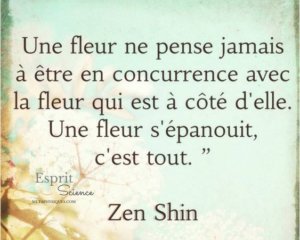 Les concurrents