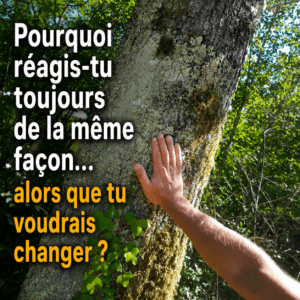 Action – Réaction : Aîe !